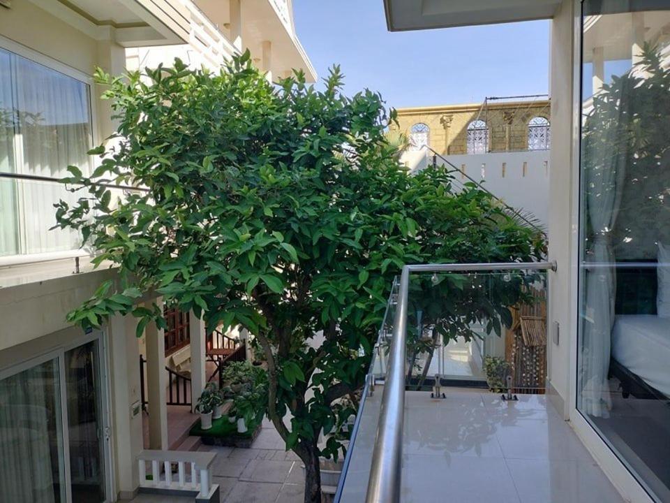 Dưỡng Gia đình Hải Yên Phan Thiết